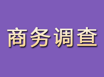 名山商务调查